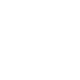 Develop Product Vision