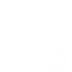 Define Scope