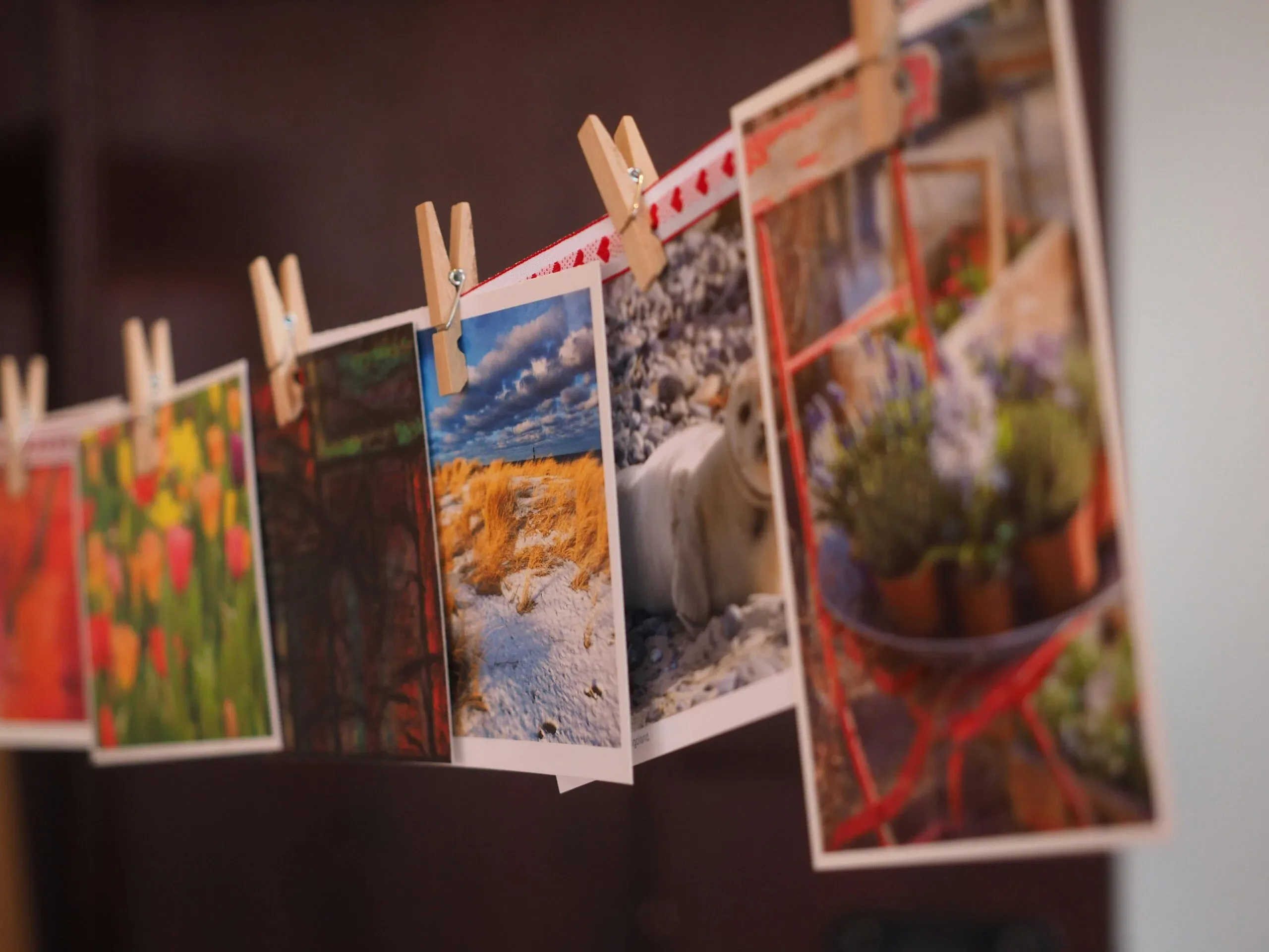 Photography and Image Editing
